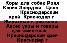 Корм для собак Роял Канин Энерджи › Цена ­ 3 500 - Краснодарский край, Краснодар г. Животные и растения » Аксесcуары и товары для животных   . Краснодарский край,Краснодар г.